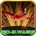 377bra Pro Rewards