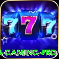bet4484 Gaming Pro